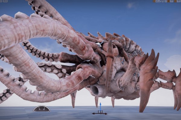 Hydra kraken