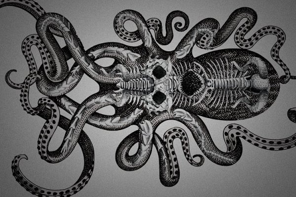 Kraken 6at